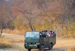 Jeep Safari Kanha
